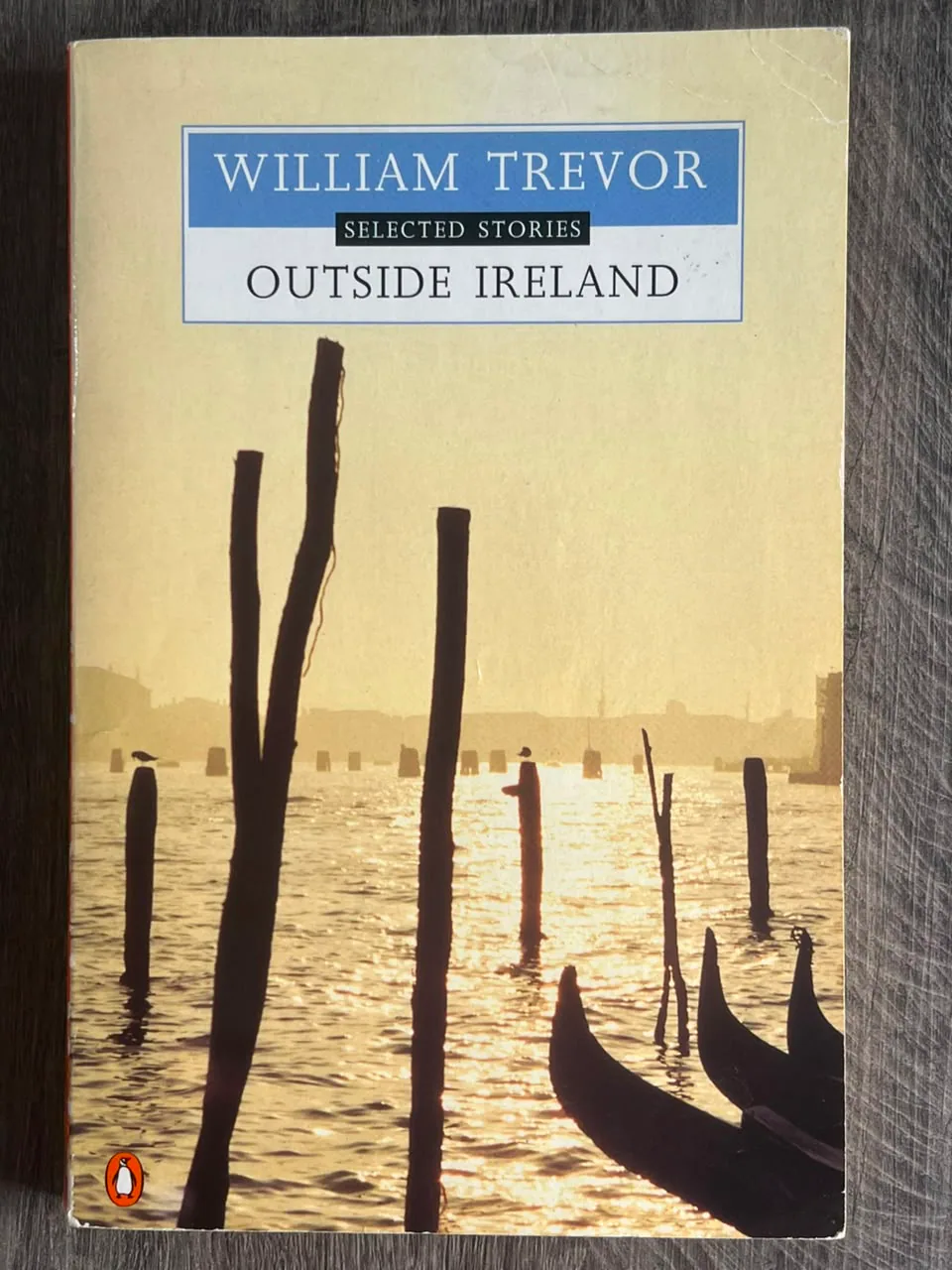 Cover of Outside Ireland: Selected Stories