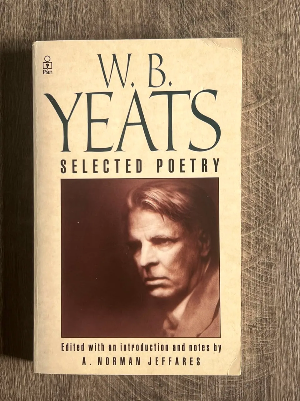 Cover of W. B. Yeats: Selected Poetry