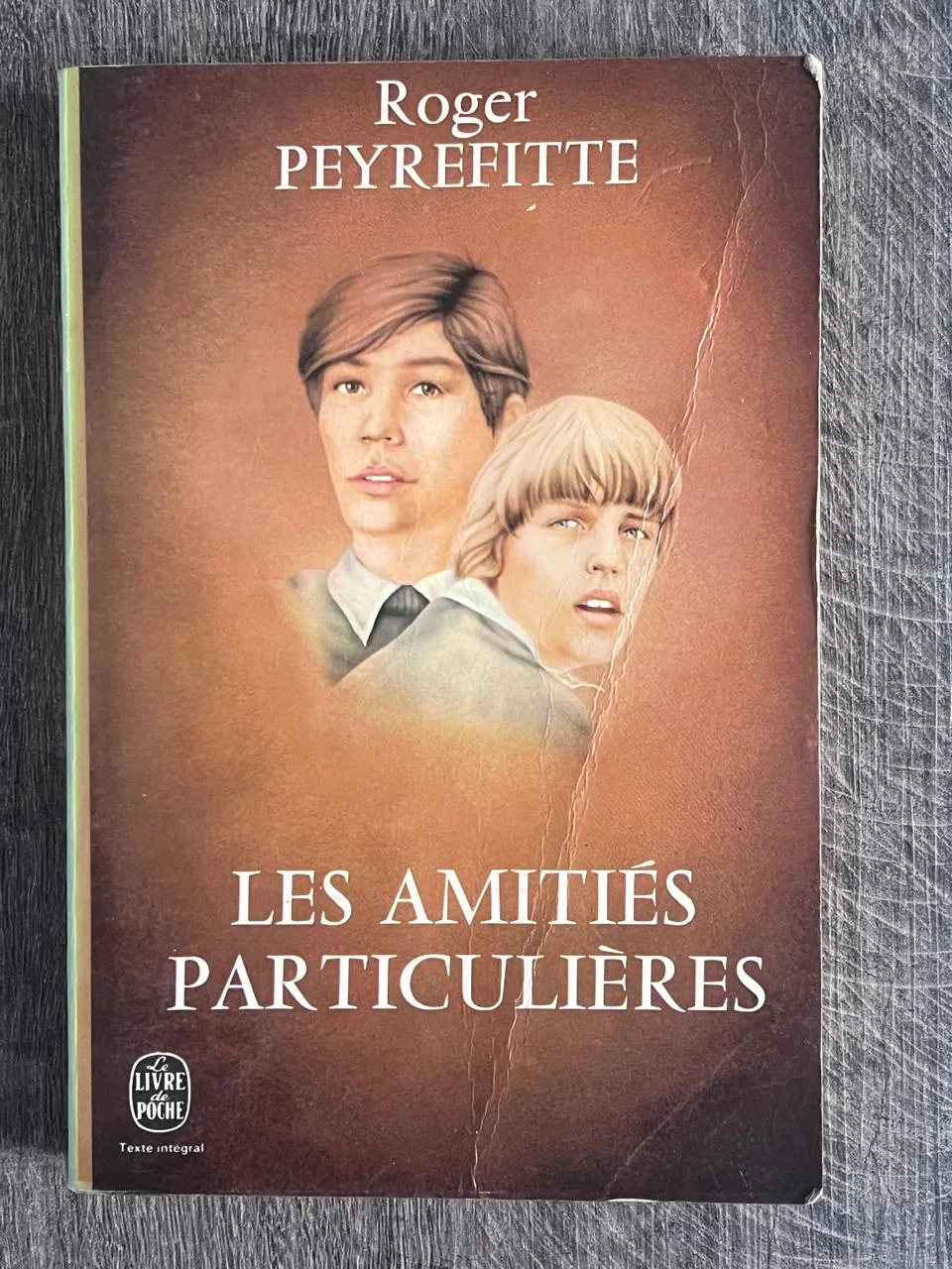 Cover of Les Amitiés particulières