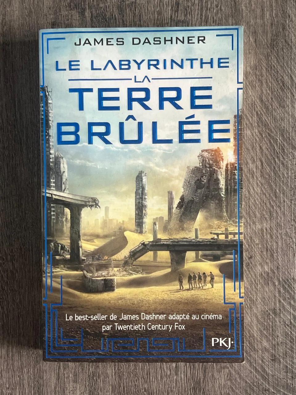 Cover of Le Labyrinthe – La Terre brûlée