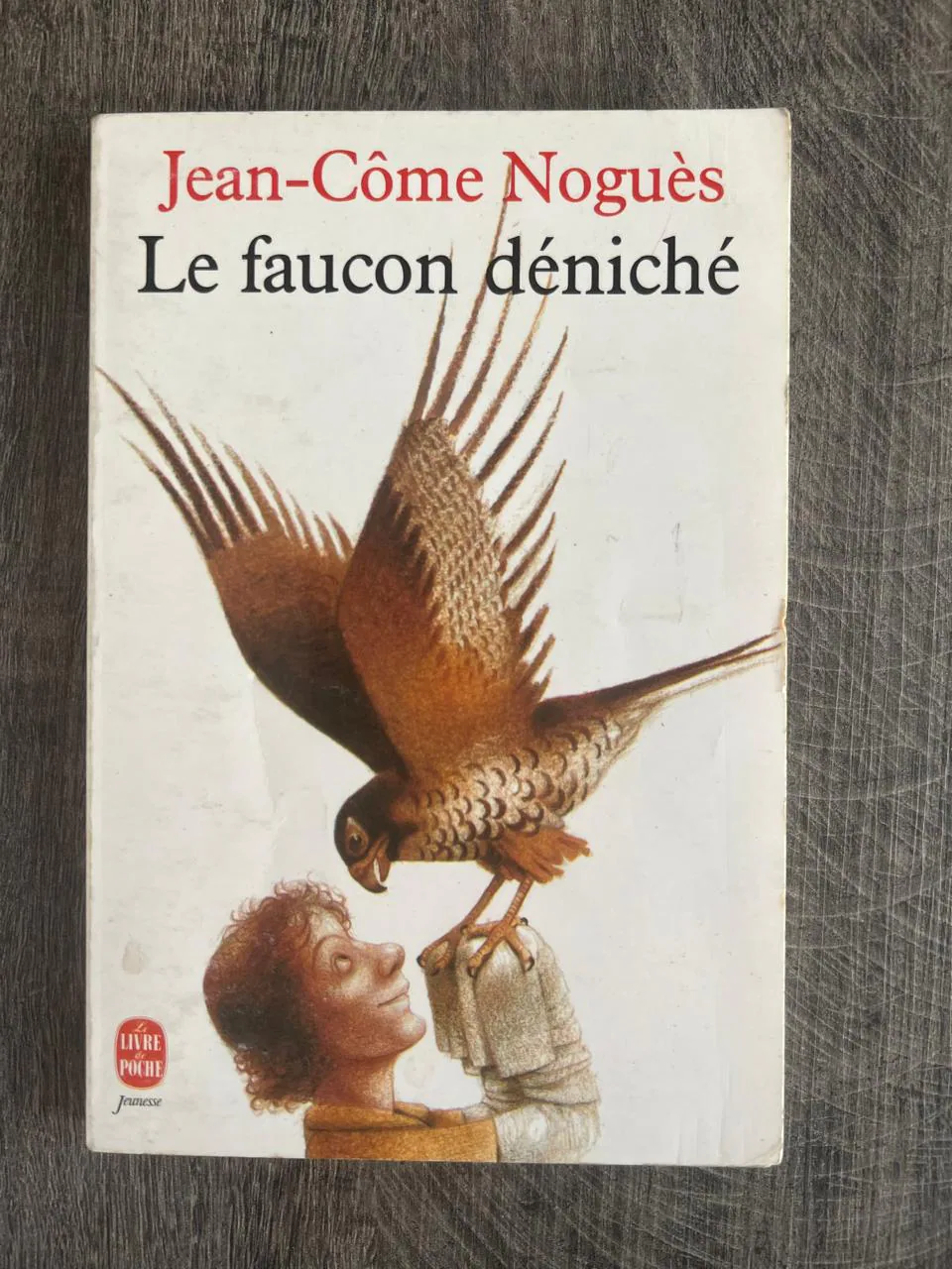 Cover of Le faucon déniché