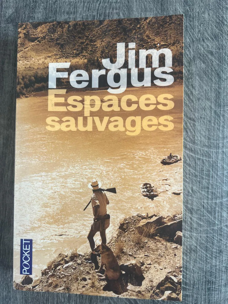 Cover of Espaces sauvages