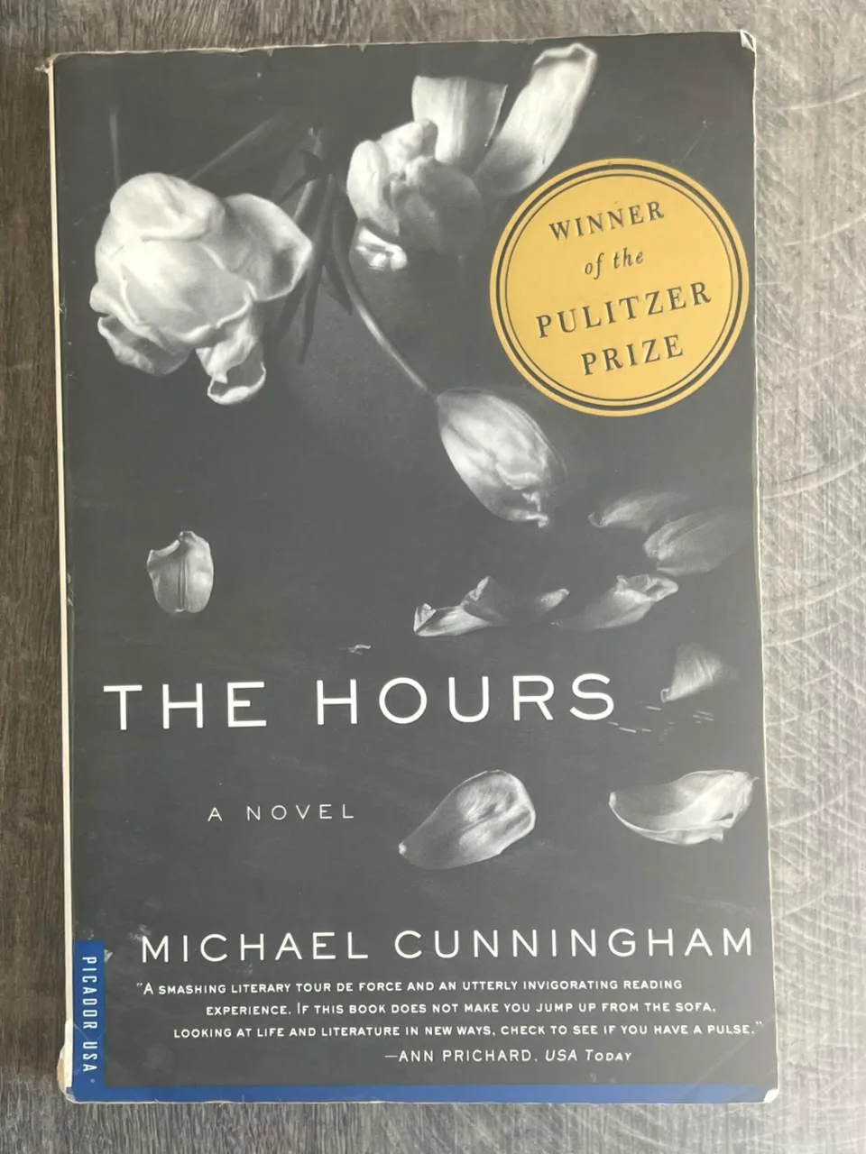 Cover of The Hours