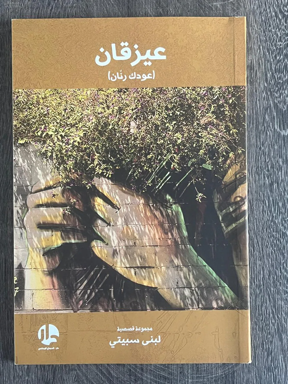 Cover of Ayzaqan