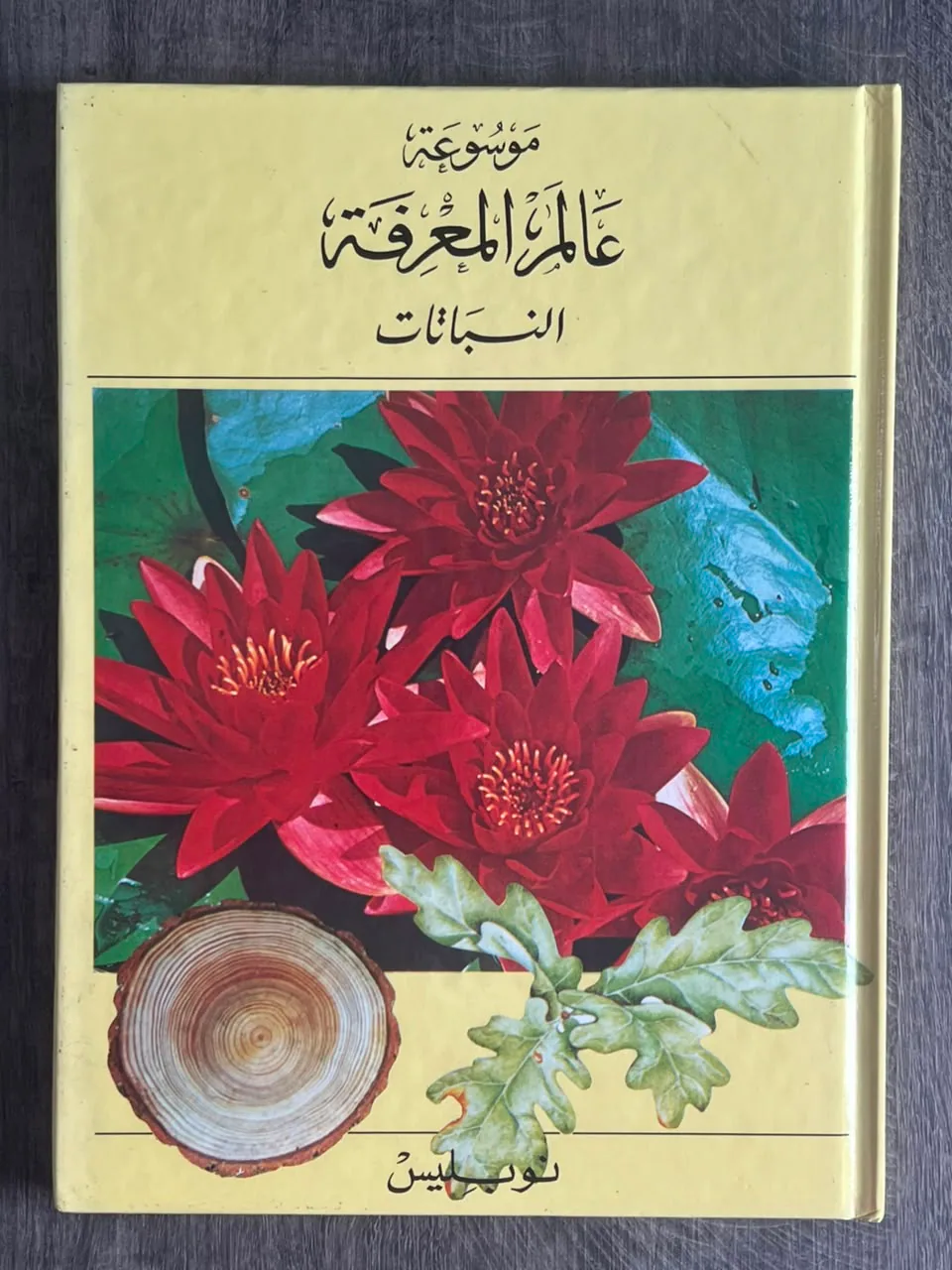 Cover of World of Knowledge Encyclopedia – Plants (Volume 3)