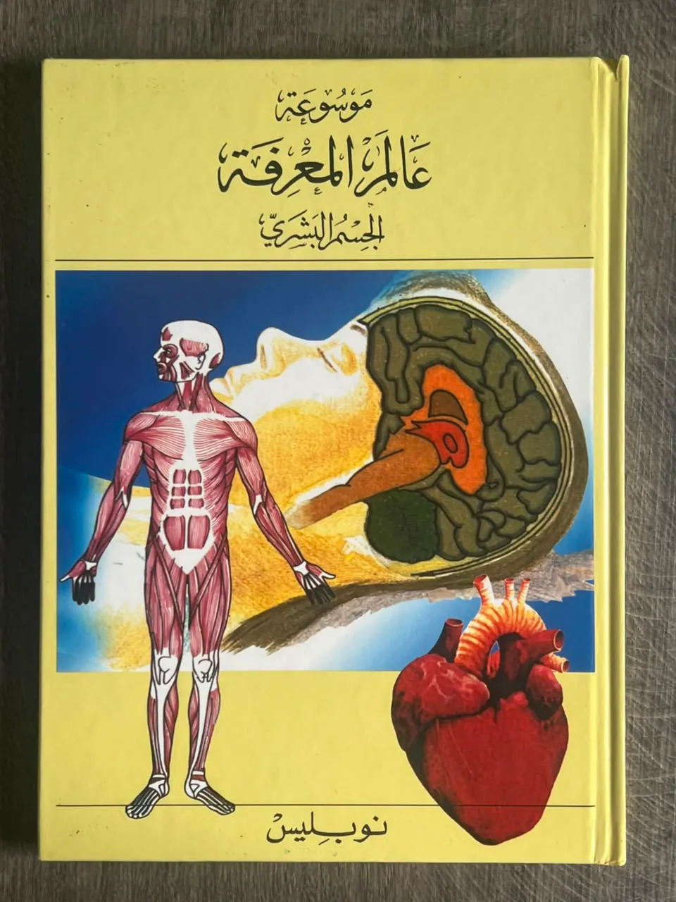 Cover of World of Knowledge Encyclopedia – The Human Body (Volume 12)
